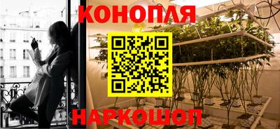 стаф Бузулук