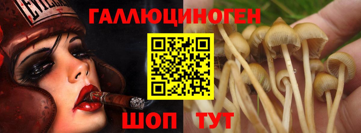 Псилоцибиновые грибы мухоморы Корсаков
